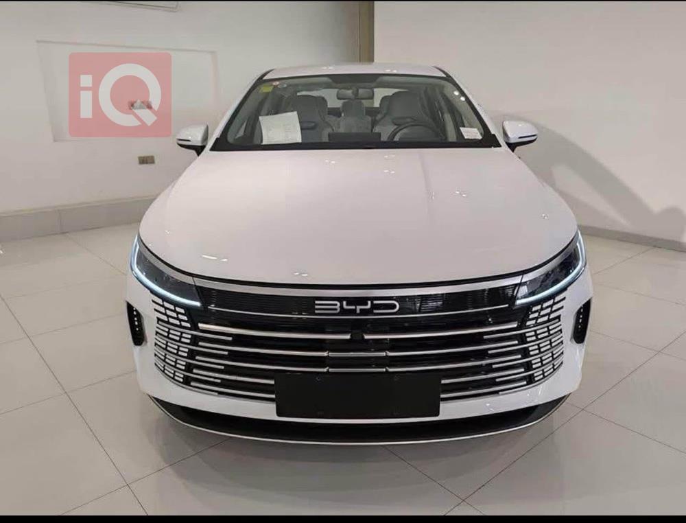 بی وای دی دیسترۆیەر 05